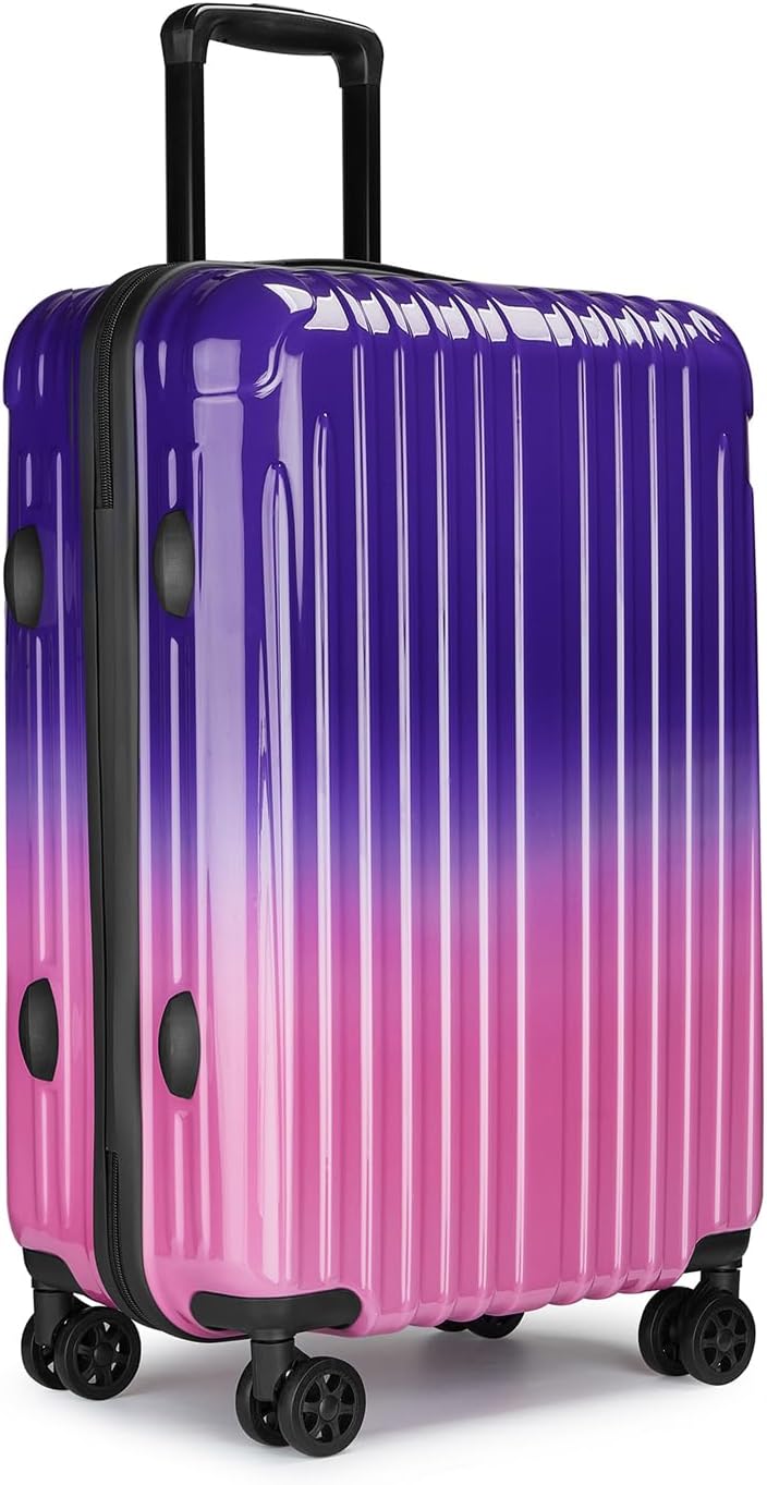 Checked Luggage, 24 Inch Hardside Suitcase, Lightweight Hardshell with , Large Suitcase with Spinner Wheels